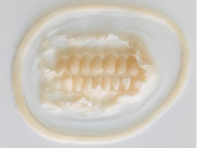 Unpainted Silicone Prosthetic Exposed Teeth